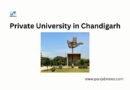 Private University in Chandigarh