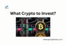 What Crypto to Invest?