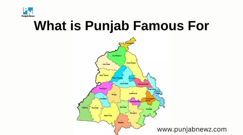 What is Punjab Famous For