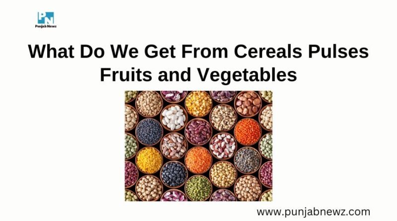 What Do We Get From Cereals Pulses Fruits and Vegetables