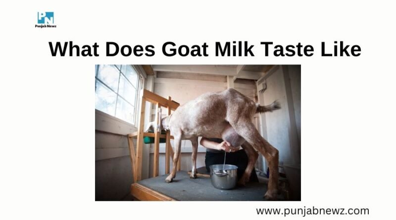 What Does Goat Milk Taste Like