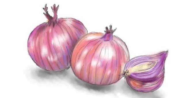 how to draw Onion: