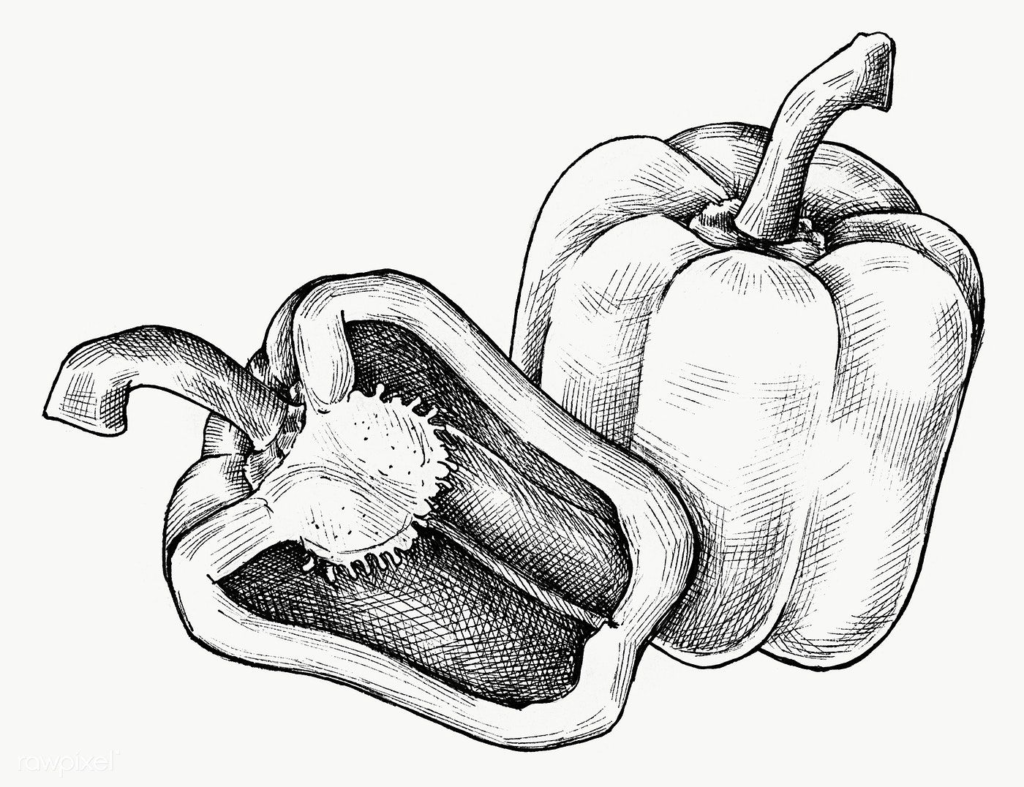 how to draw bell pepper