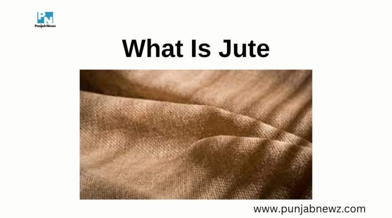 What Is Jute: History, Uses, Production Process